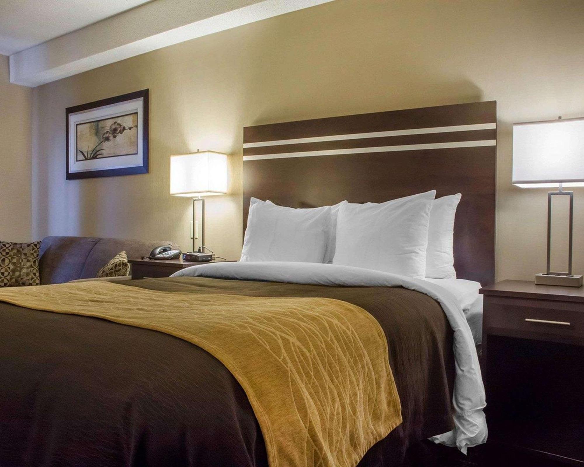 Comfort Inn Guelph Zewnętrze zdjęcie